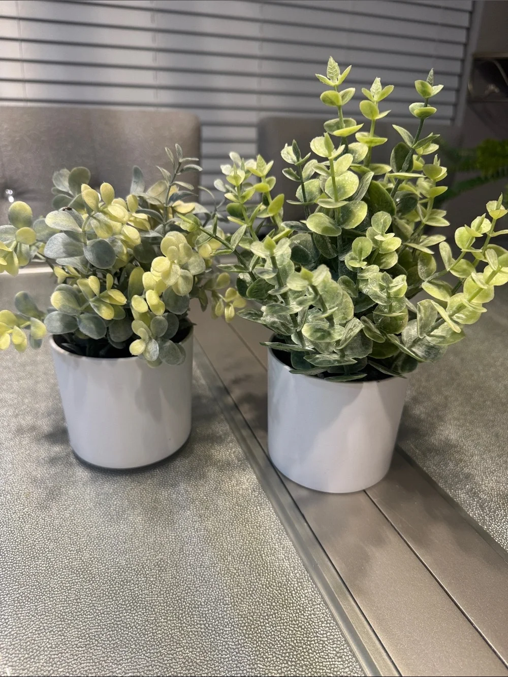 Artificial Eucalyptus Tabletop Plant in White Pot - Green- set of 2